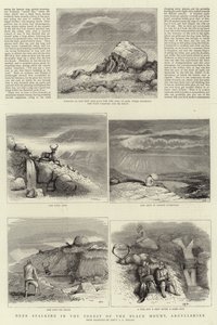 偷偷靠近在黑山的森林里，Argyllshire